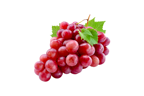 fruit_2