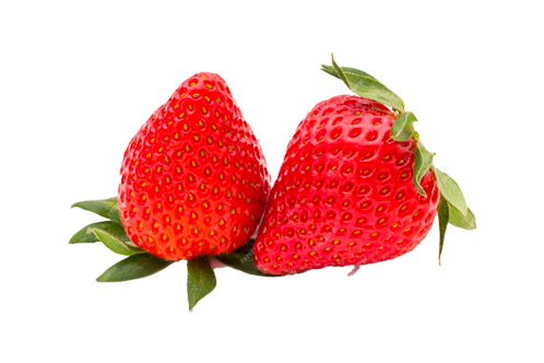 fruit_6spng